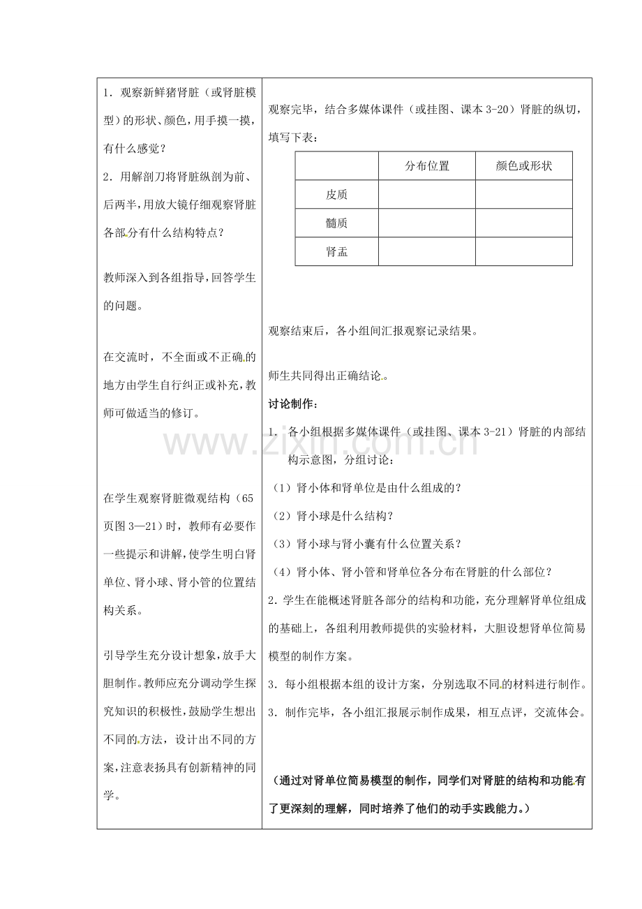 七年级生物下册 第三章《健肺强肾 精力充沛》3.2.1 肾脏是主要的排泄器官教案 （新版）冀教版.doc_第3页