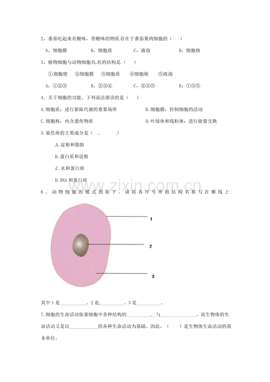 七年级生物上册 第3章细胞是生命活动的基本单位复习教案 苏教版.doc_第2页