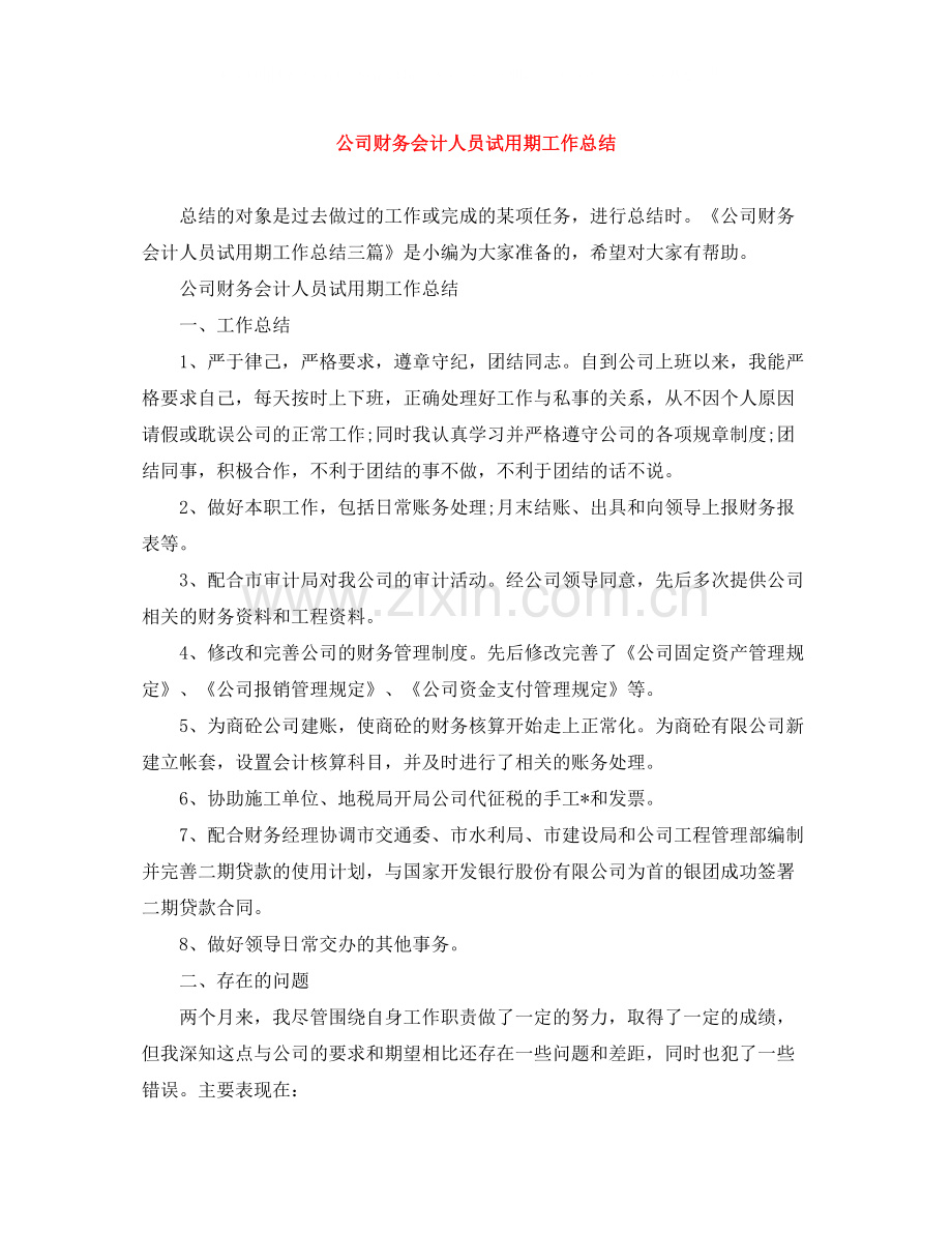 公司财务会计人员试用期工作总结.docx_第1页