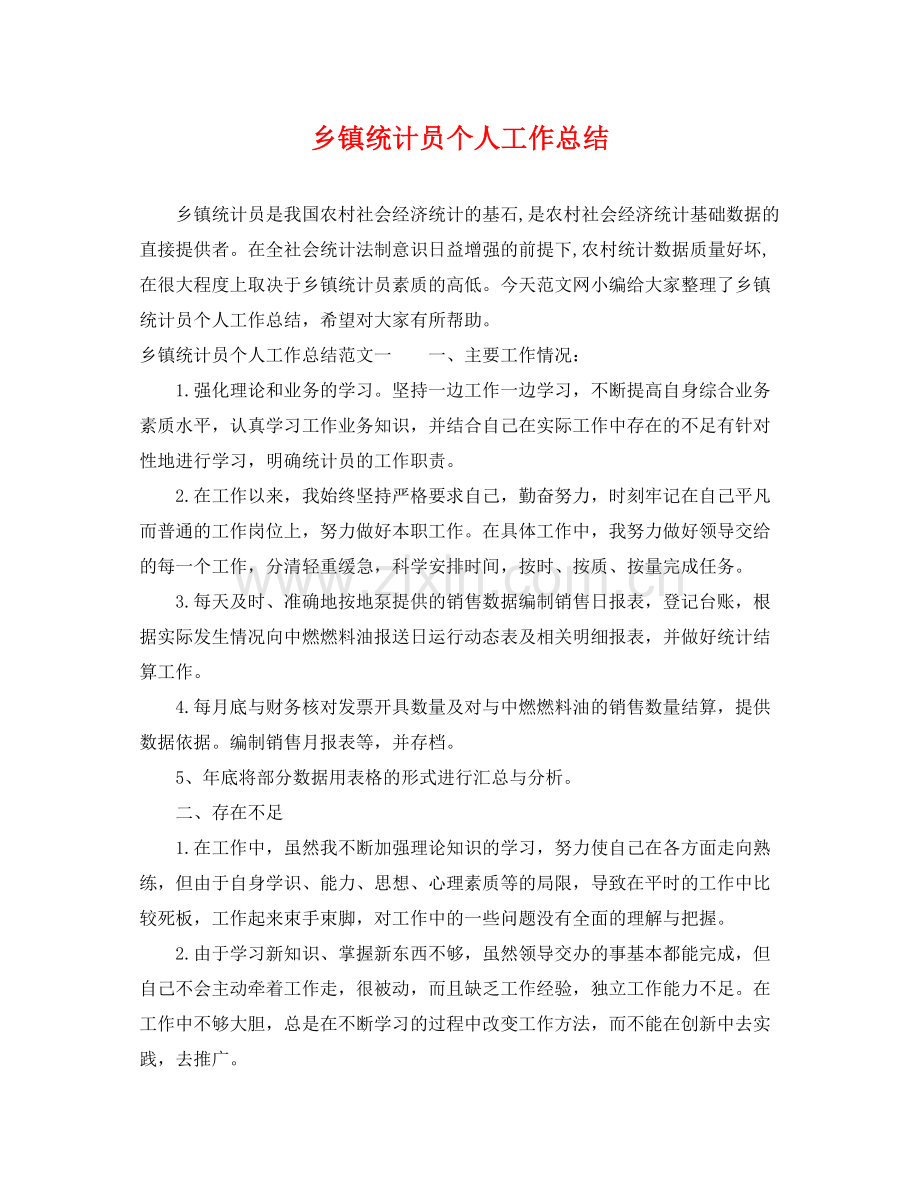 乡镇统计员个人工作总结 .docx_第1页