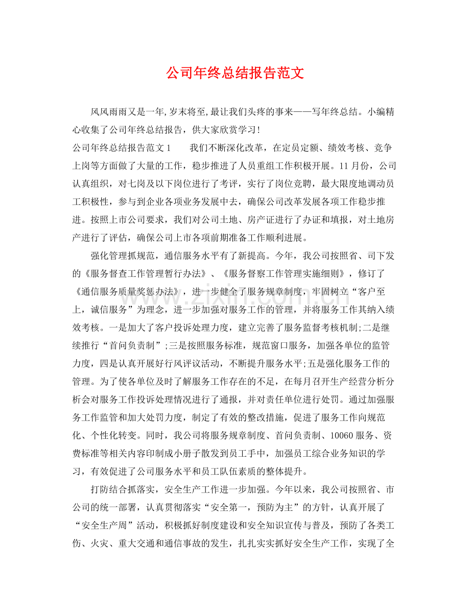 公司年终总结报告范文 .docx_第1页