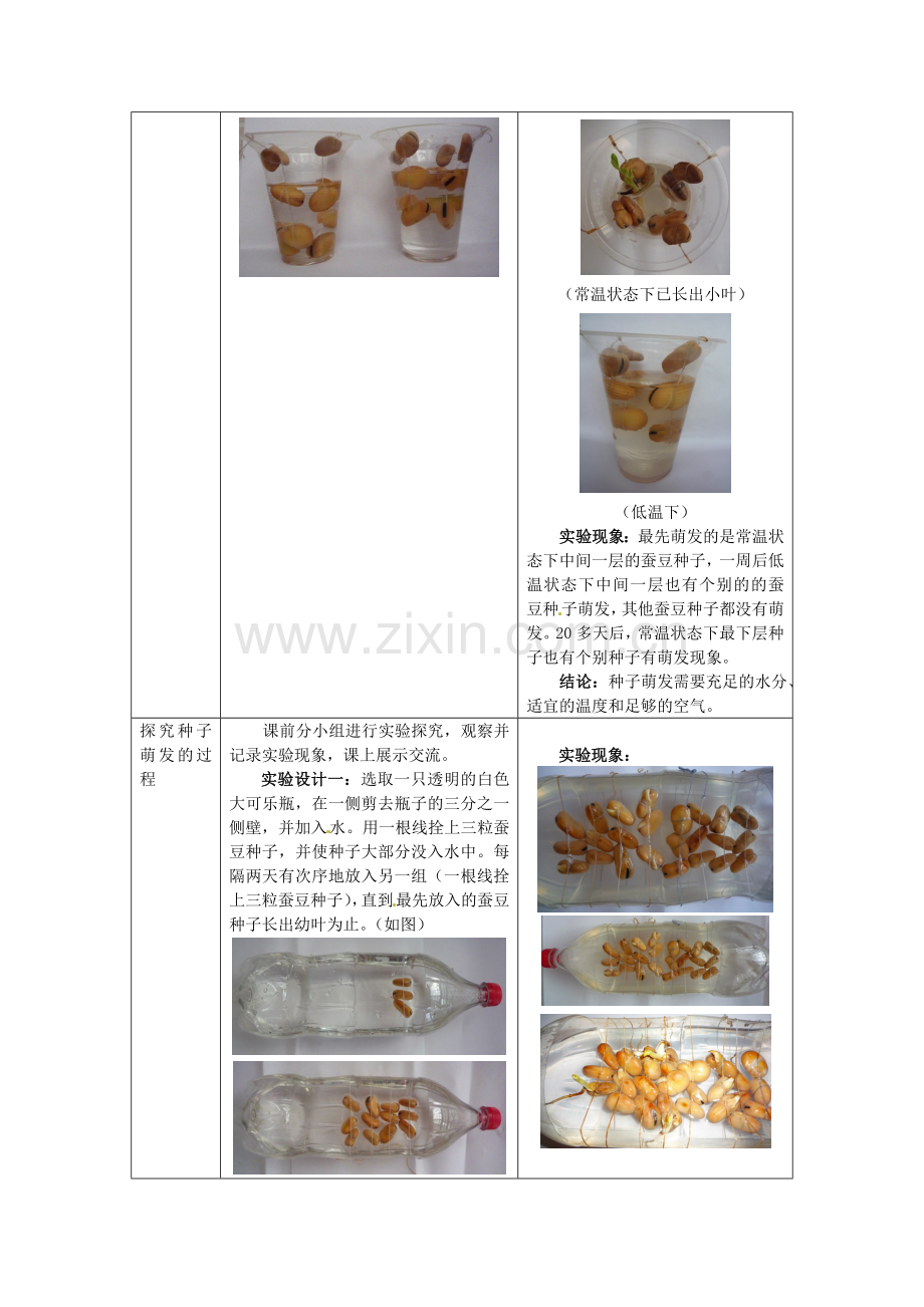 江西省信丰县黄泥中学中考生物实验汇总复习 种子的萌发教学设计.doc_第3页