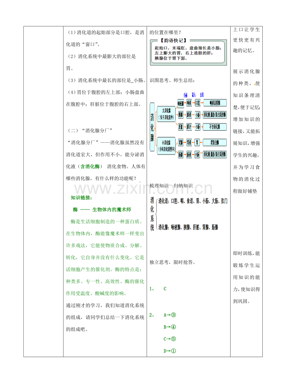 七年级生物下册 第3单元 第1章 第2节 消化和吸收（第1课时）教案1 （新版）济南版.doc_第3页