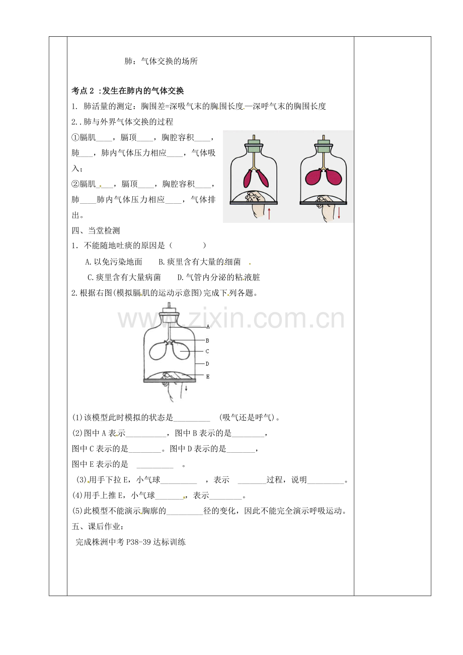 湖南省茶陵县世纪星实验学校八年级生物复习《第11讲 人体的呼吸》教案（1） 人教新课标版.doc_第2页