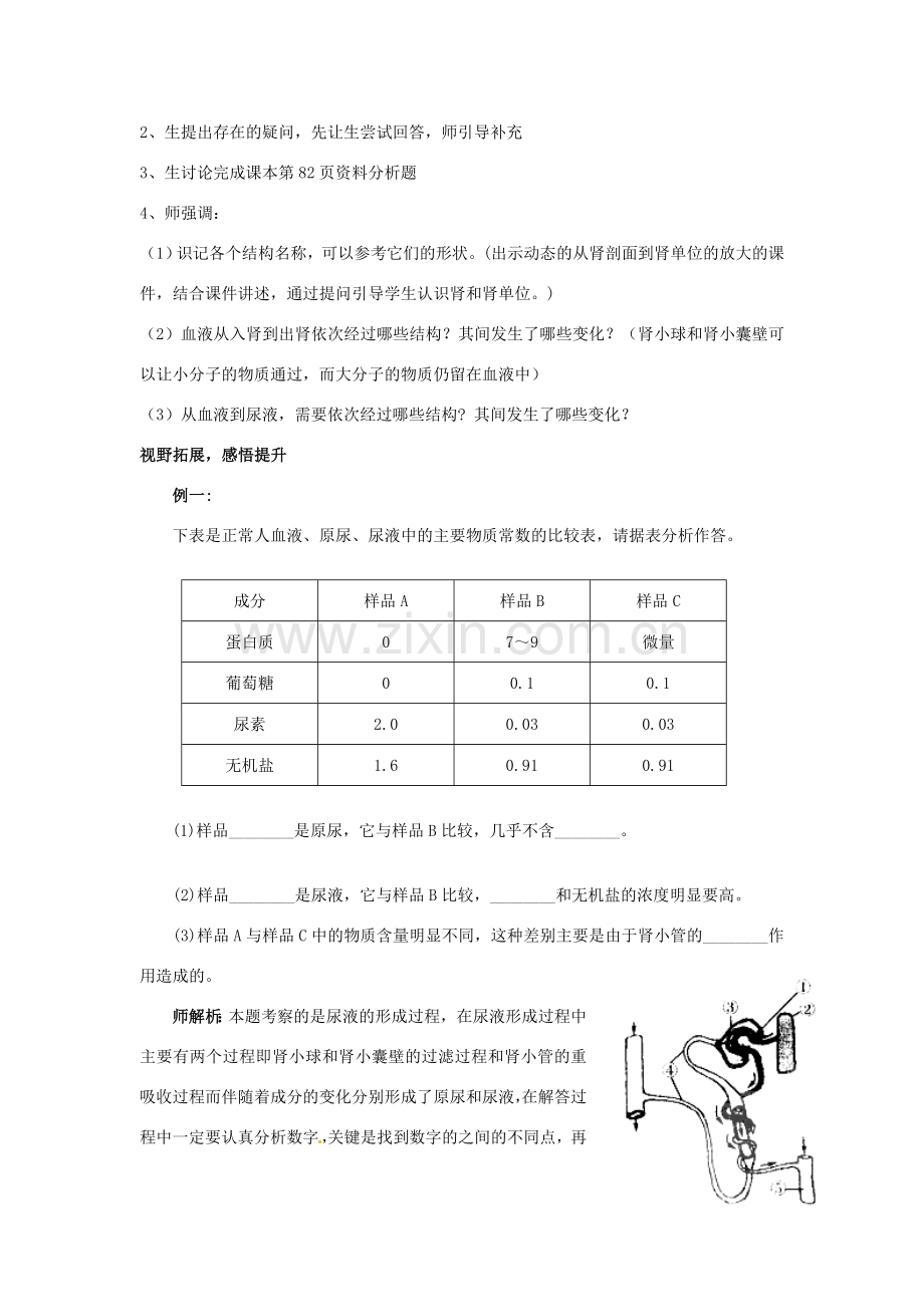 山东省肥城市王庄镇初级中学七年级生物下册 4.5 人体内废物的排出教案 新人教版.doc_第3页