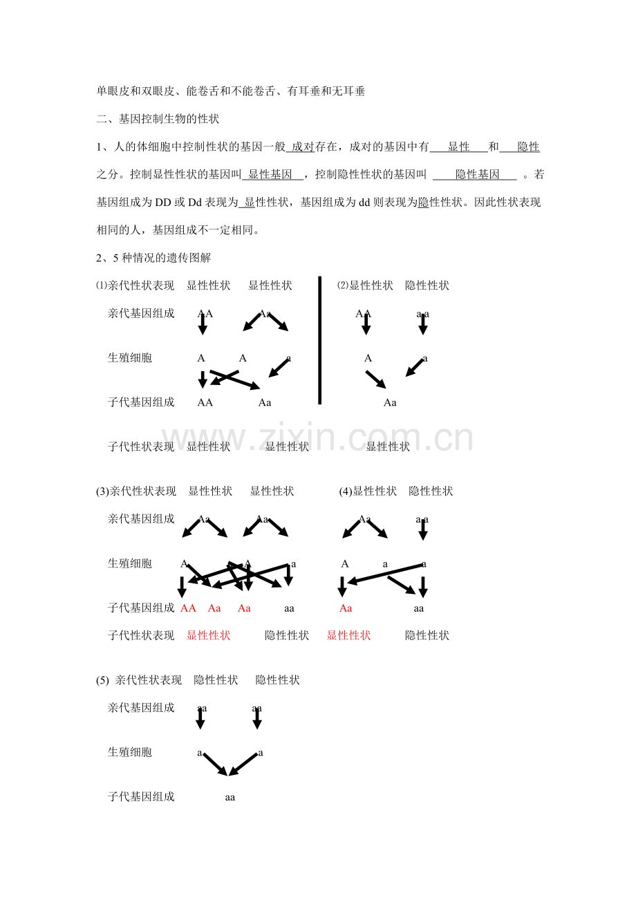 八年级生物第15章 生物的遗传和变异教案苏教版.doc_第2页