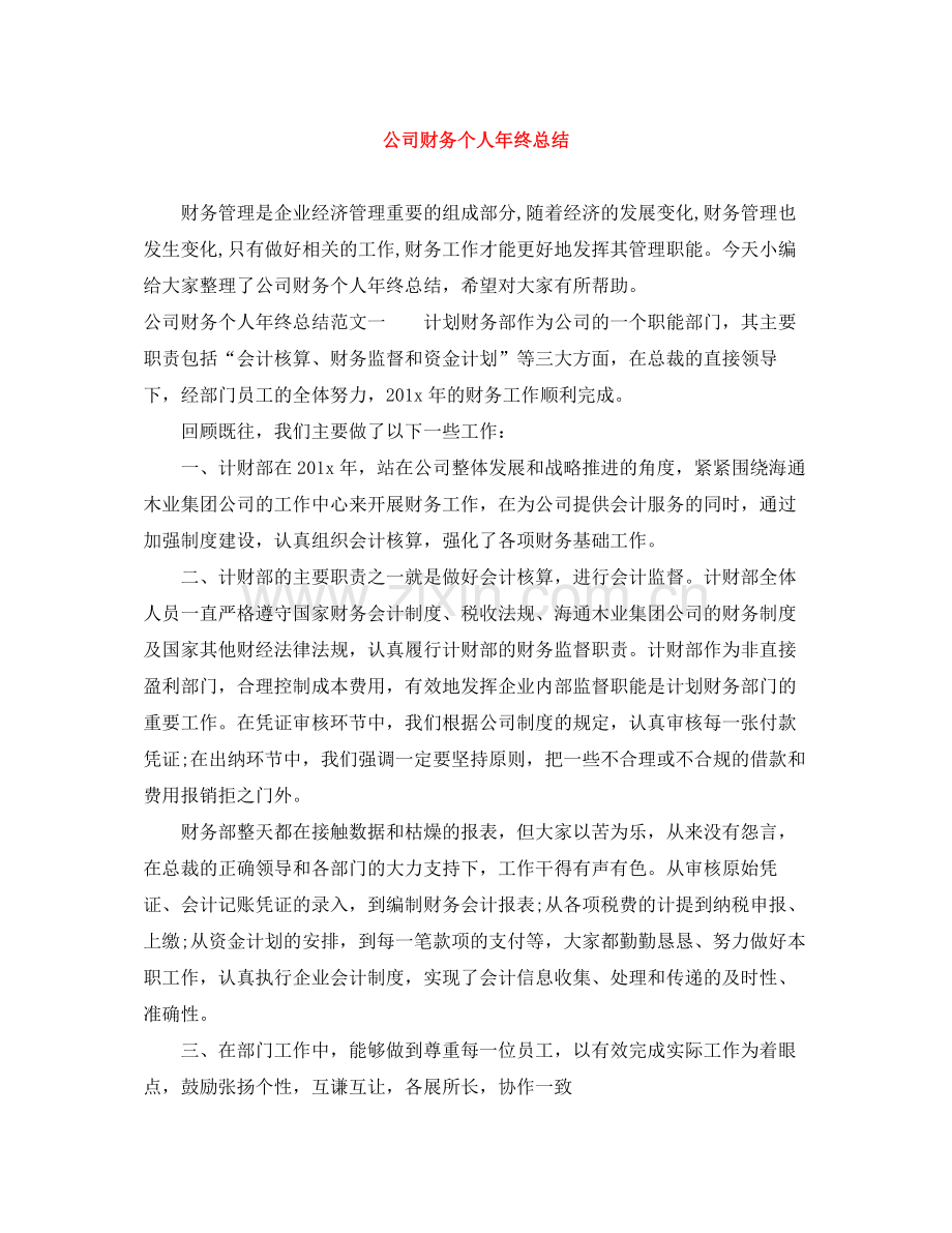 公司财务个人年终总结.docx_第1页