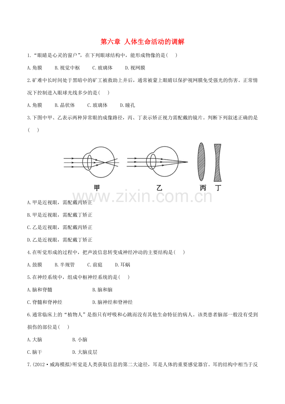 山东省泰安新泰市七年级生物下册 第六章 人体生命活动的调解复习检测题 新人教版.doc_第1页