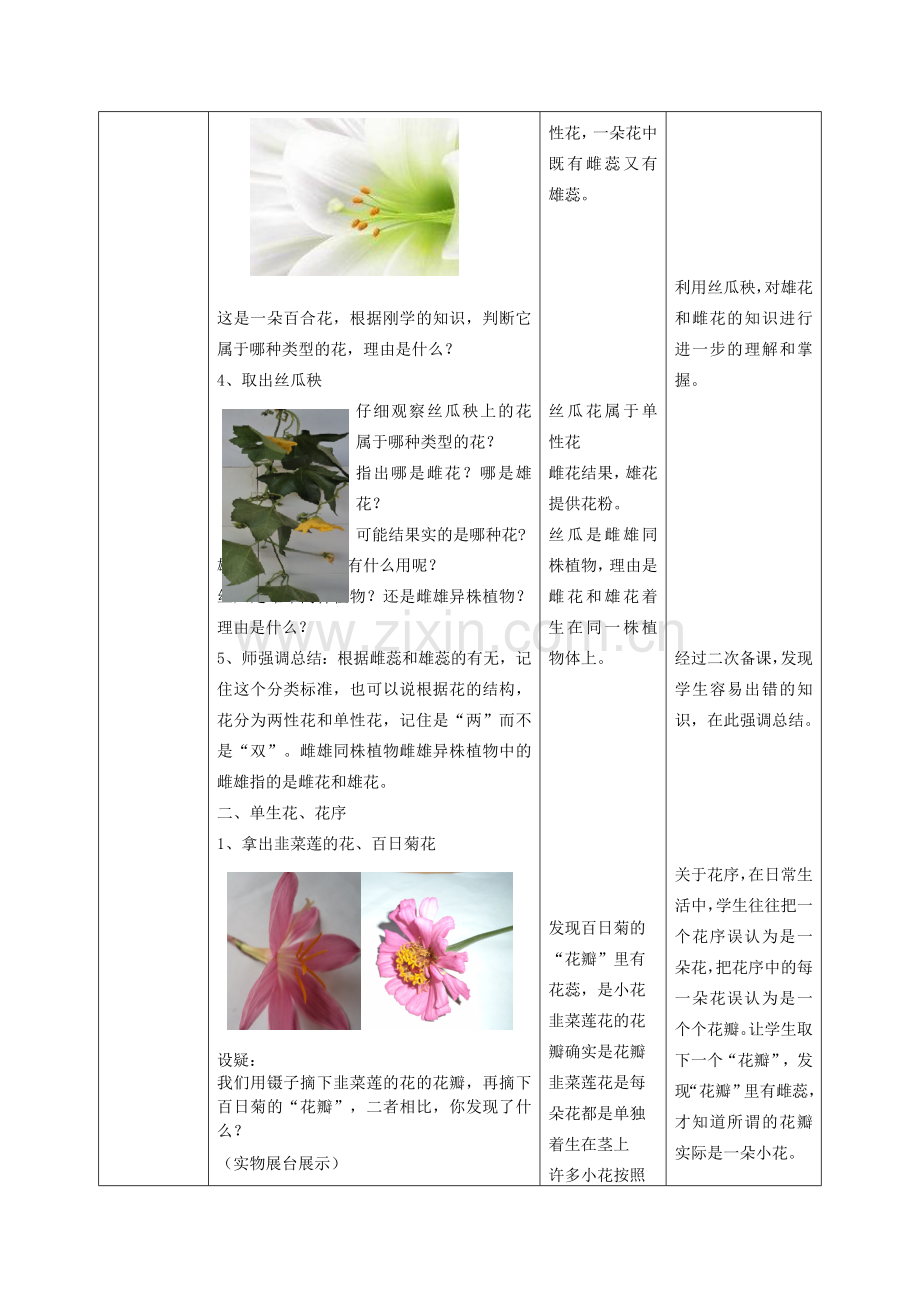 山东省枣庄市峄城区吴林街道中学八年级生物上册 4-1-1 花的结构和类型（第二课时）教案2 济南版.doc_第3页