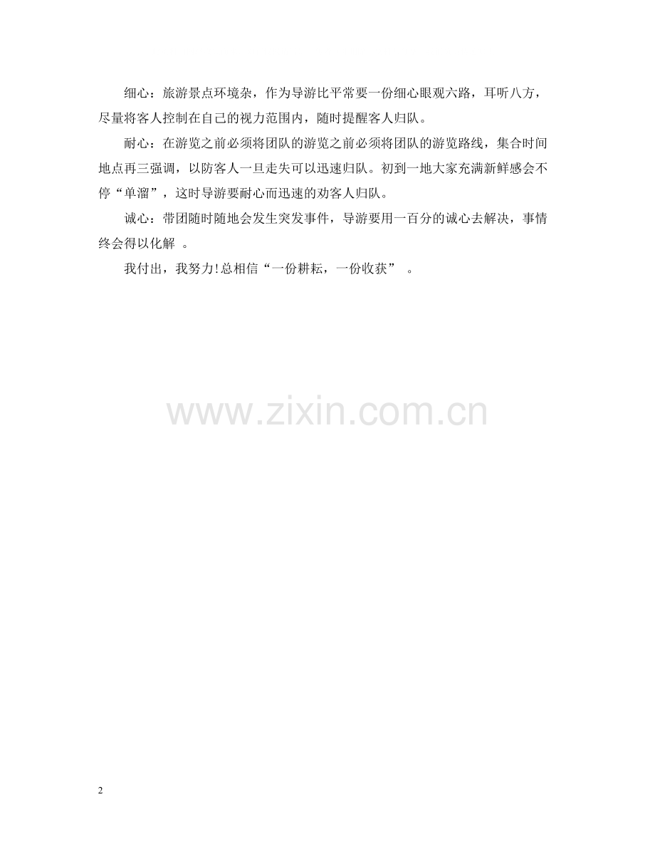 新导游年终总结2.docx_第2页