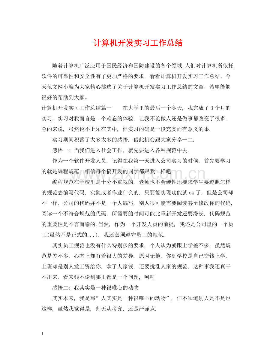 计算机开发实习工作总结.docx_第1页