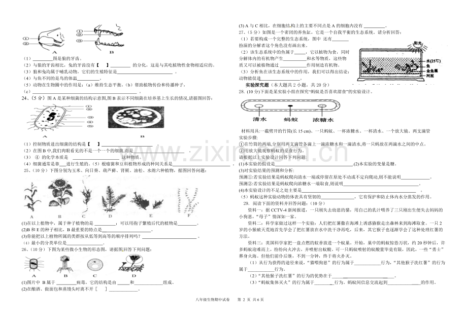 八年级上册生物期末试卷(人教版).doc_第2页