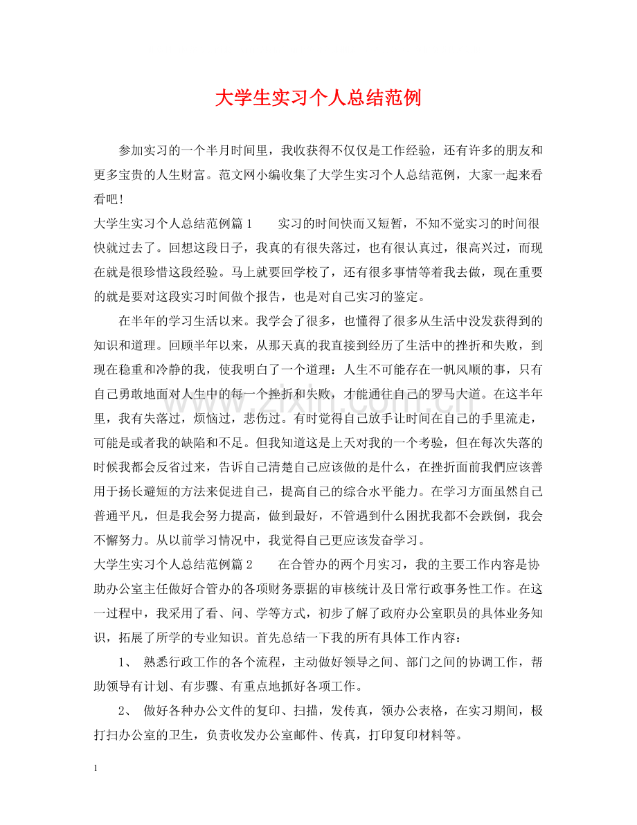 大学生实习个人总结范例2.docx_第1页