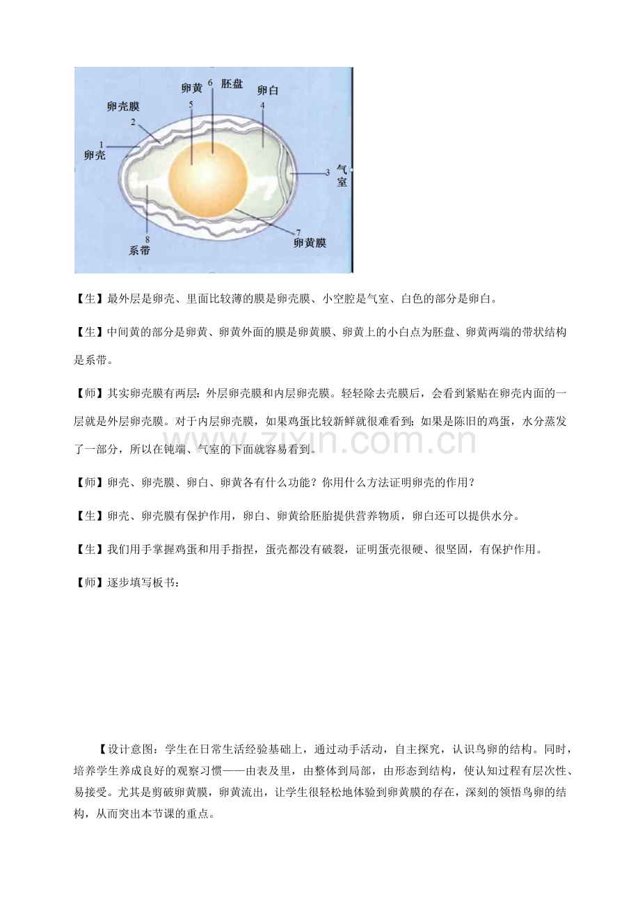 八年级生物下册 第7单元 第1章 第4节 鸟的生殖和发育教案2 （新版）新人教版-（新版）新人教版初中八年级下册生物教案.docx_第3页