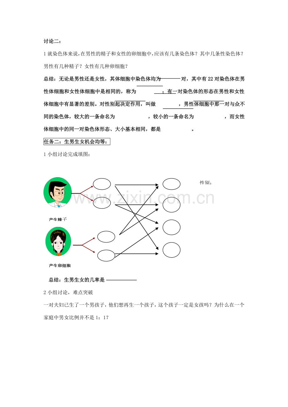 八年级生物下册 人的性别遗传教案 人教新课标版.doc_第2页