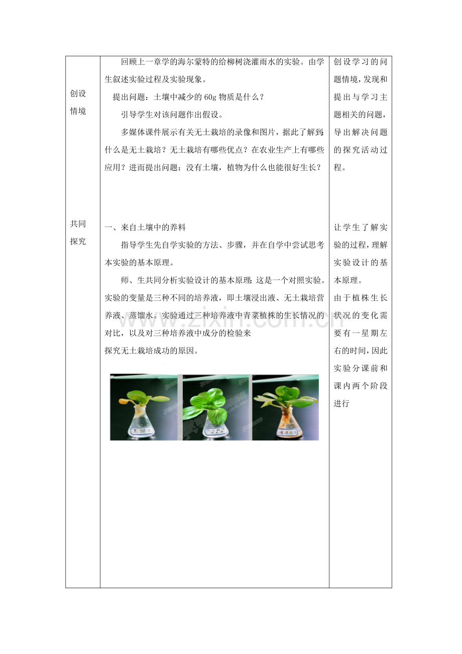 江苏省赣榆县汇文双语学校七年级生物上册 第四章 第二节 绿色植物的生长需要水和无机盐教案 （新版）苏科版.doc_第2页