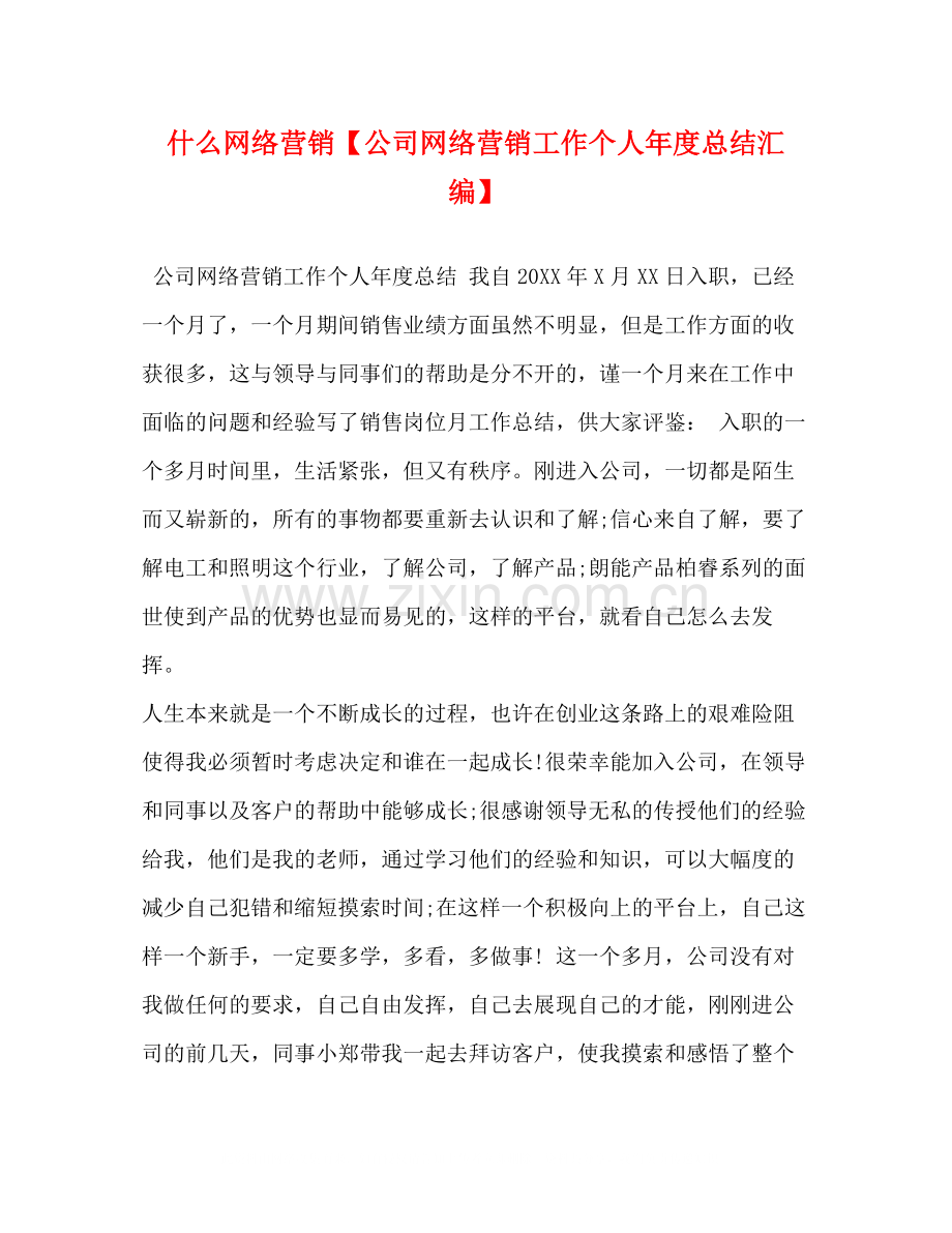 什么网络营销【公司网络营销工作个人年度总结汇编】.docx_第1页