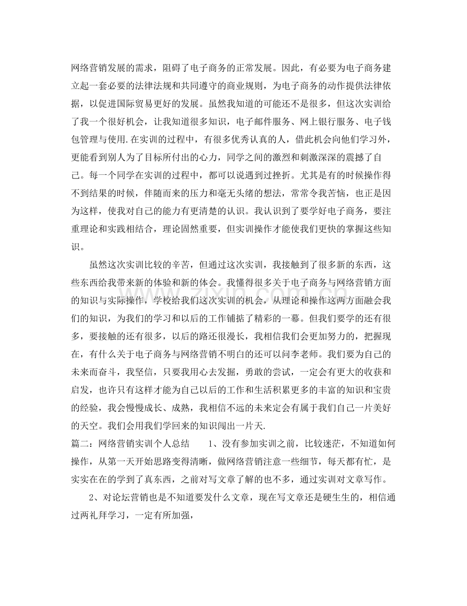 网络营销实训个人总结 .docx_第2页