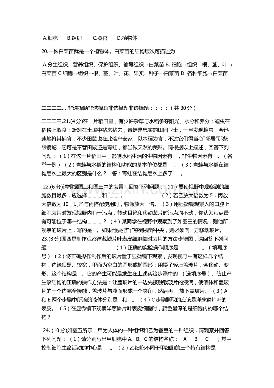 七年级生物复习资料.doc_第3页