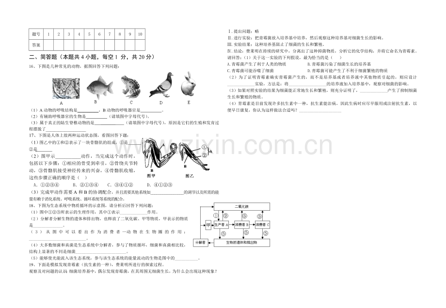 期末试题(八年级生物).doc_第2页