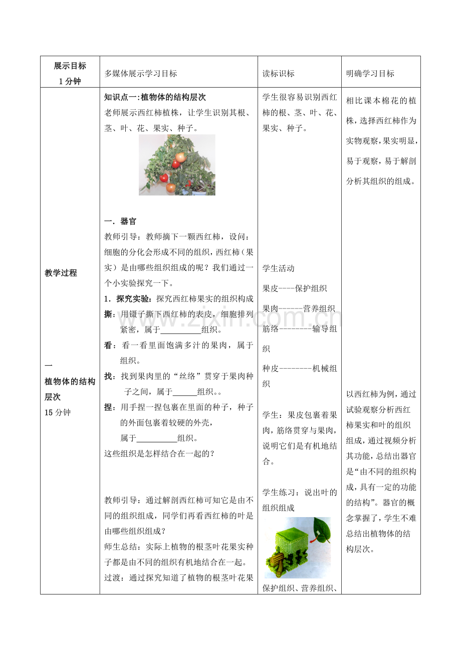 -七年级生物上册 1.2.3 多细胞生物体的结构层次优秀教案 （新版）济南版-（新版）济南版初中七年级上册生物教案.doc_第2页