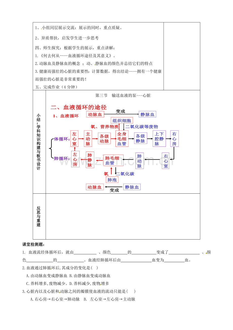 山东省淄博市临淄区第八中学七年级生物下册 物质运输的途径教案2 新人教版.doc_第2页