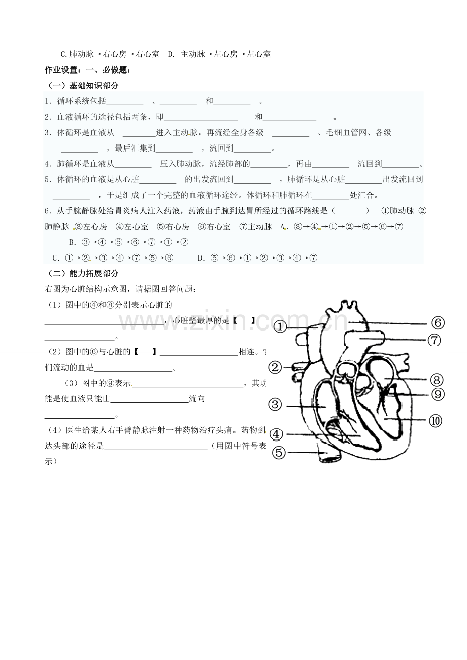 山东省淄博市临淄区第八中学七年级生物下册 物质运输的途径教案2 新人教版.doc_第3页