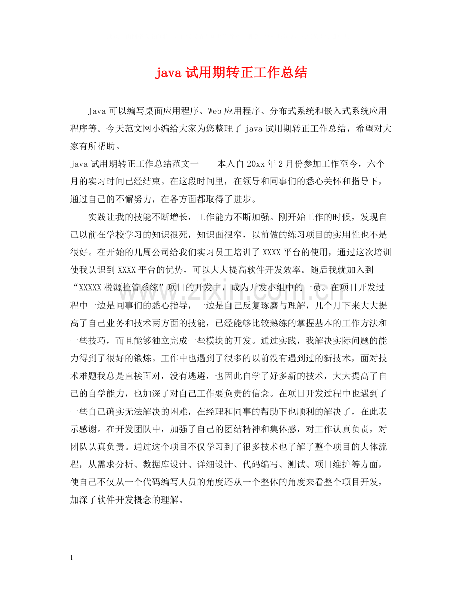 java试用期转正工作总结.docx_第1页