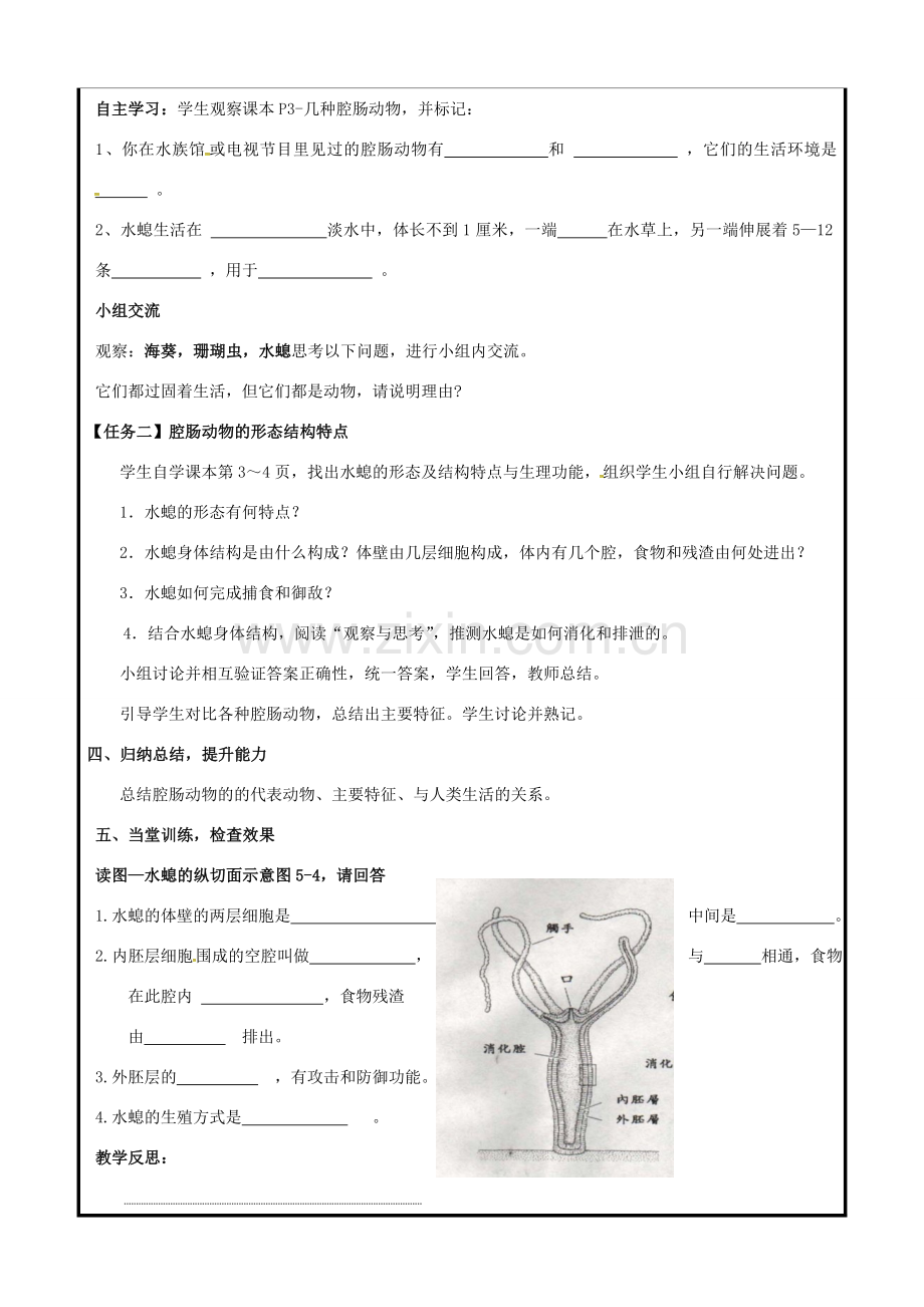 八年级生物上册 第五单元 第一章 第一节 腔肠动物教案 （新版）新人教版-（新版）新人教版初中八年级上册生物教案.doc_第2页