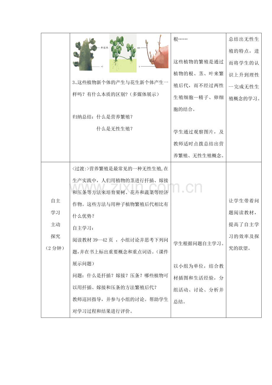 八年级生物上册 4.1.7《植物的无性生殖》教案1 （新版）济南版-（新版）济南版初中八年级上册生物教案.doc_第3页