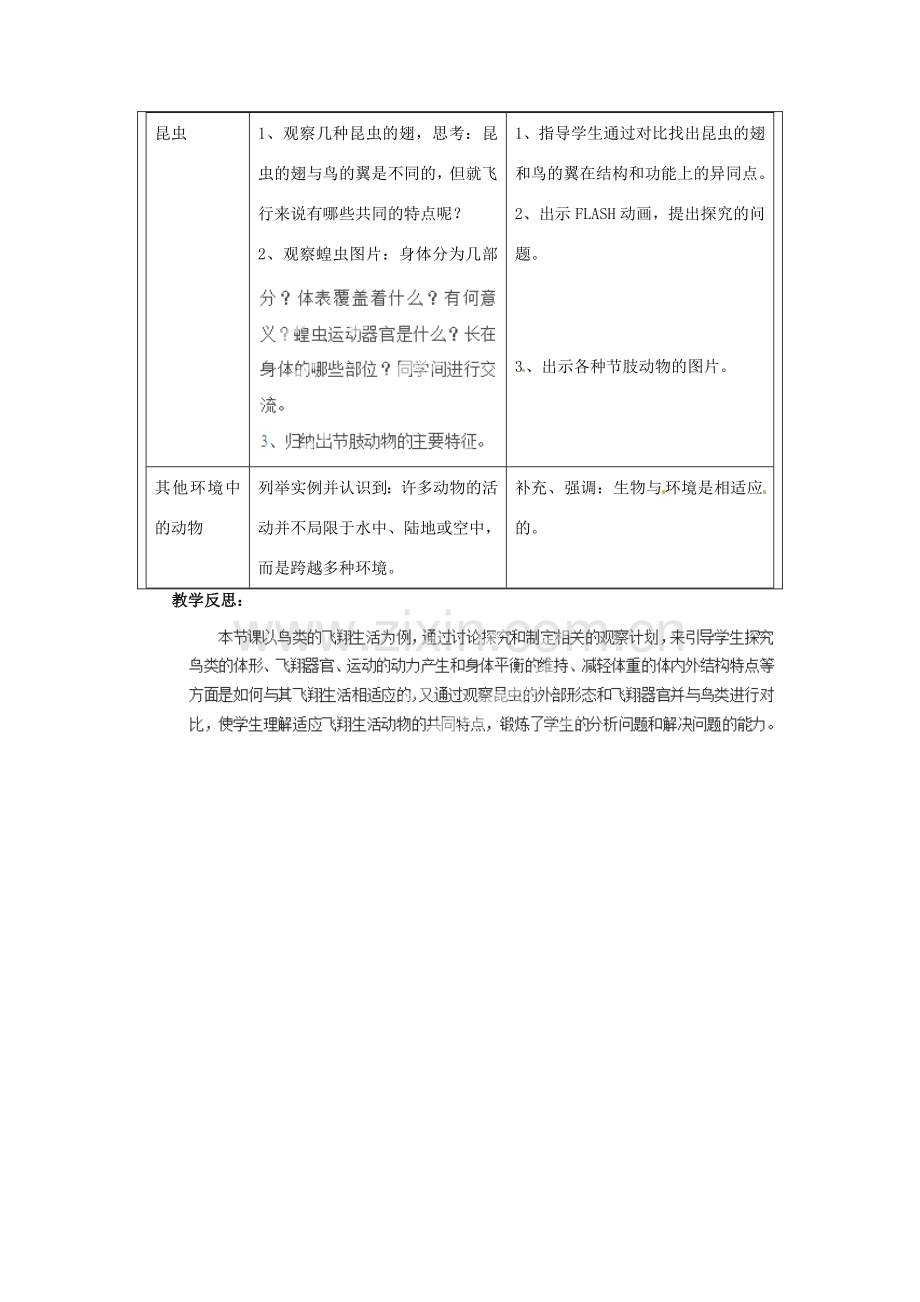 福建省厦门市集美区灌口中学八年级生物上册 第五单元 第一章 第三节 空中飞行的动物教案 新人教版.doc_第3页