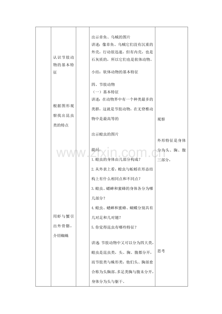 八年级生物上册 7.1.3《软体动物和节肢动物》教案 鲁科版-鲁科版初中八年级上册生物教案.doc_第2页