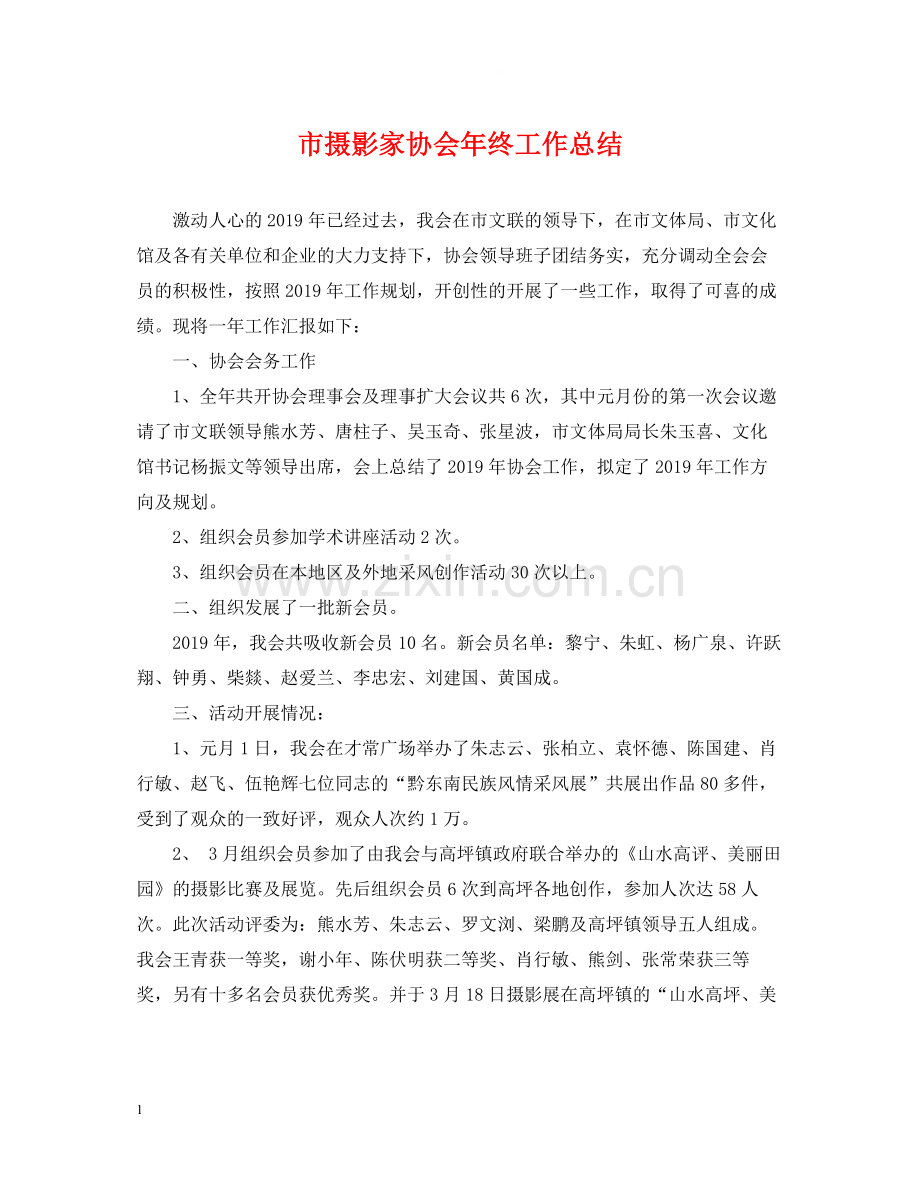 市摄影家协会年终工作总结.docx_第1页