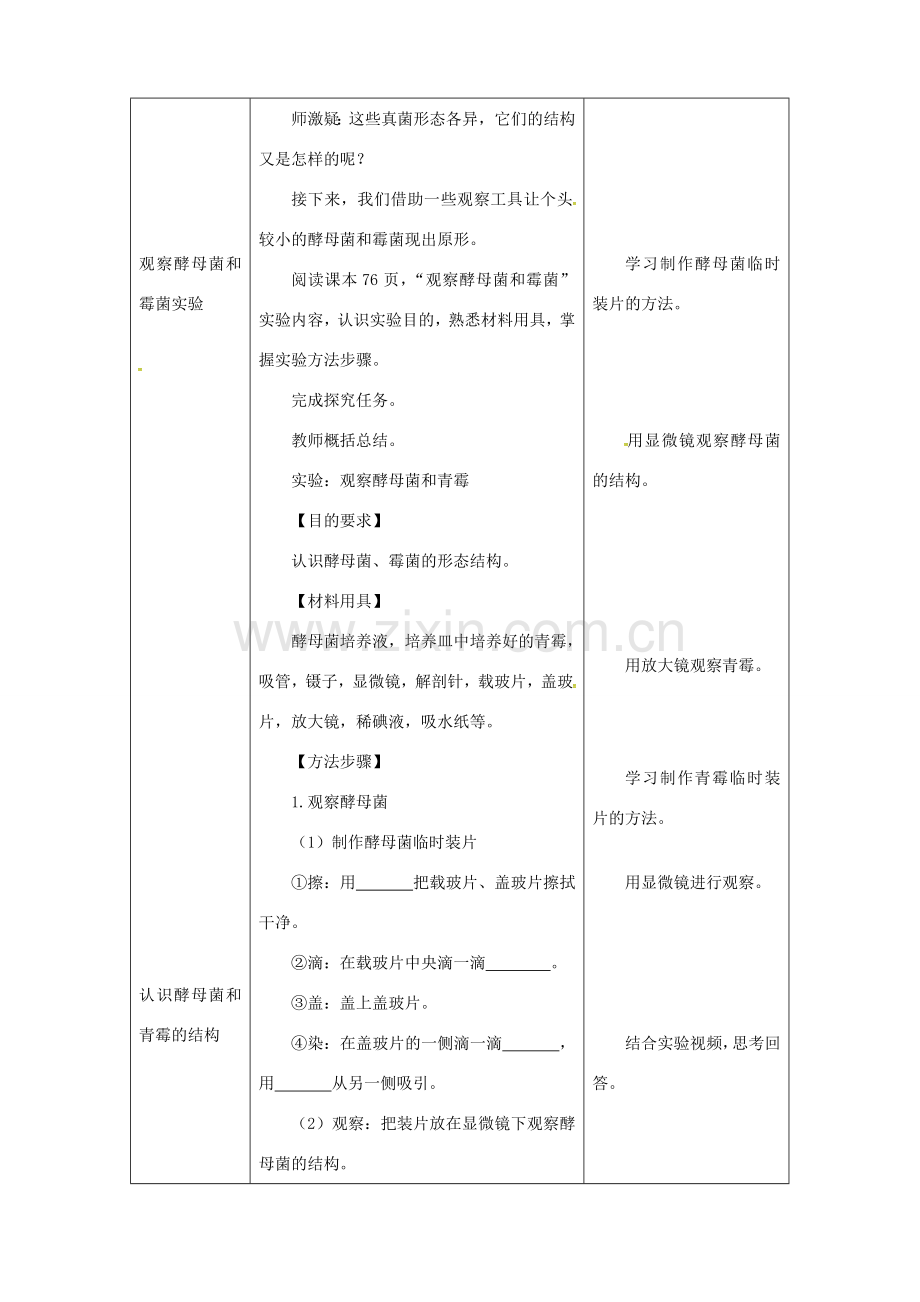 八年级生物上册 第五单元 第四章 第三节《真菌》教案1 （新版）新人教版-（新版）新人教版初中八年级上册生物教案.doc_第3页