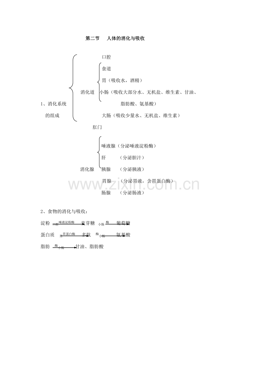 山东省淄博市沂源县燕崖中学七年级生物下册 9.2 人体的消化与吸收教案 苏教版.doc_第3页