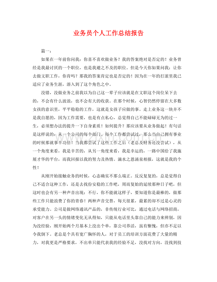 业务员个人工作总结报告 .docx_第1页