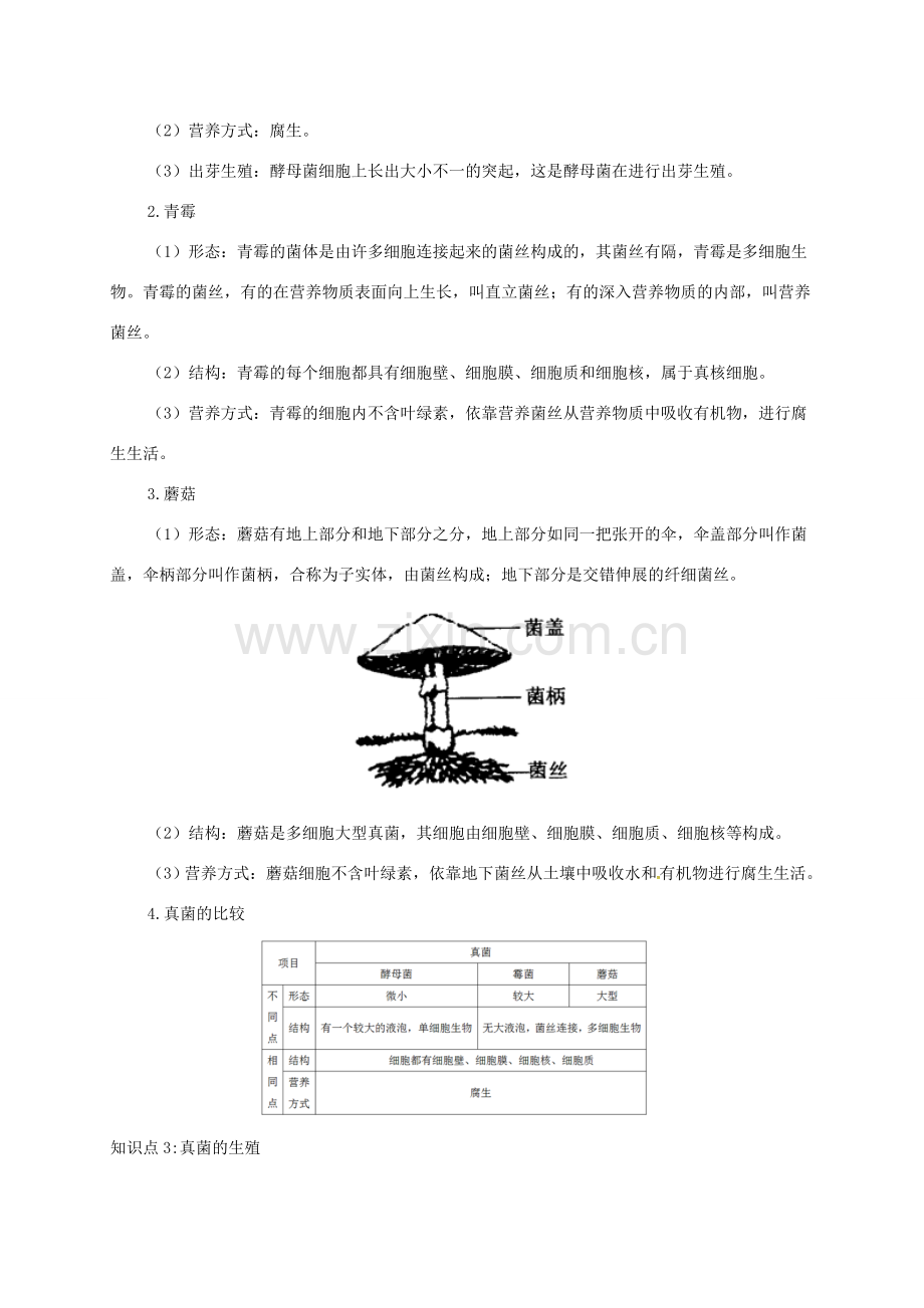 八年级生物上册 第四章 第三节 真菌备课资料 （新版）新人教版-（新版）新人教版初中八年级上册生物教案.doc_第2页