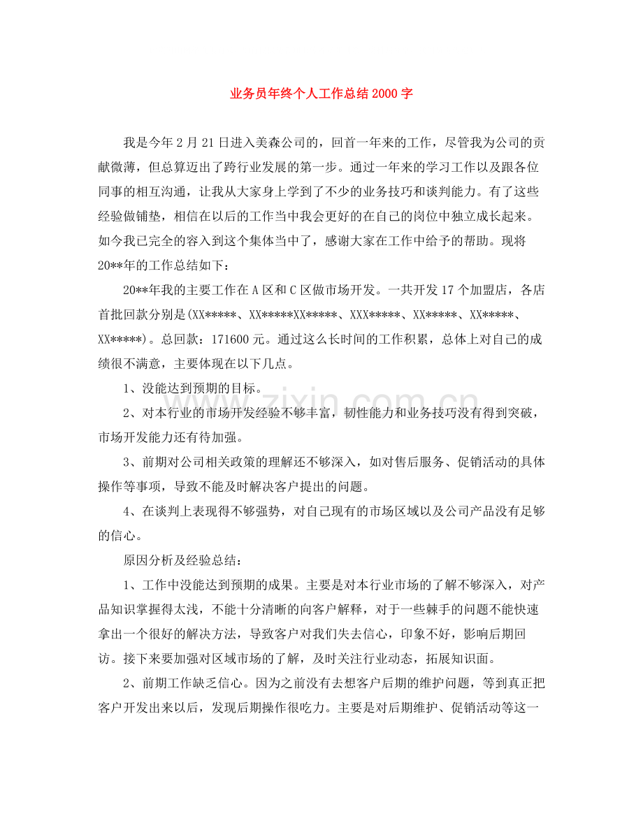 业务员年终个人工作总结字.docx_第1页