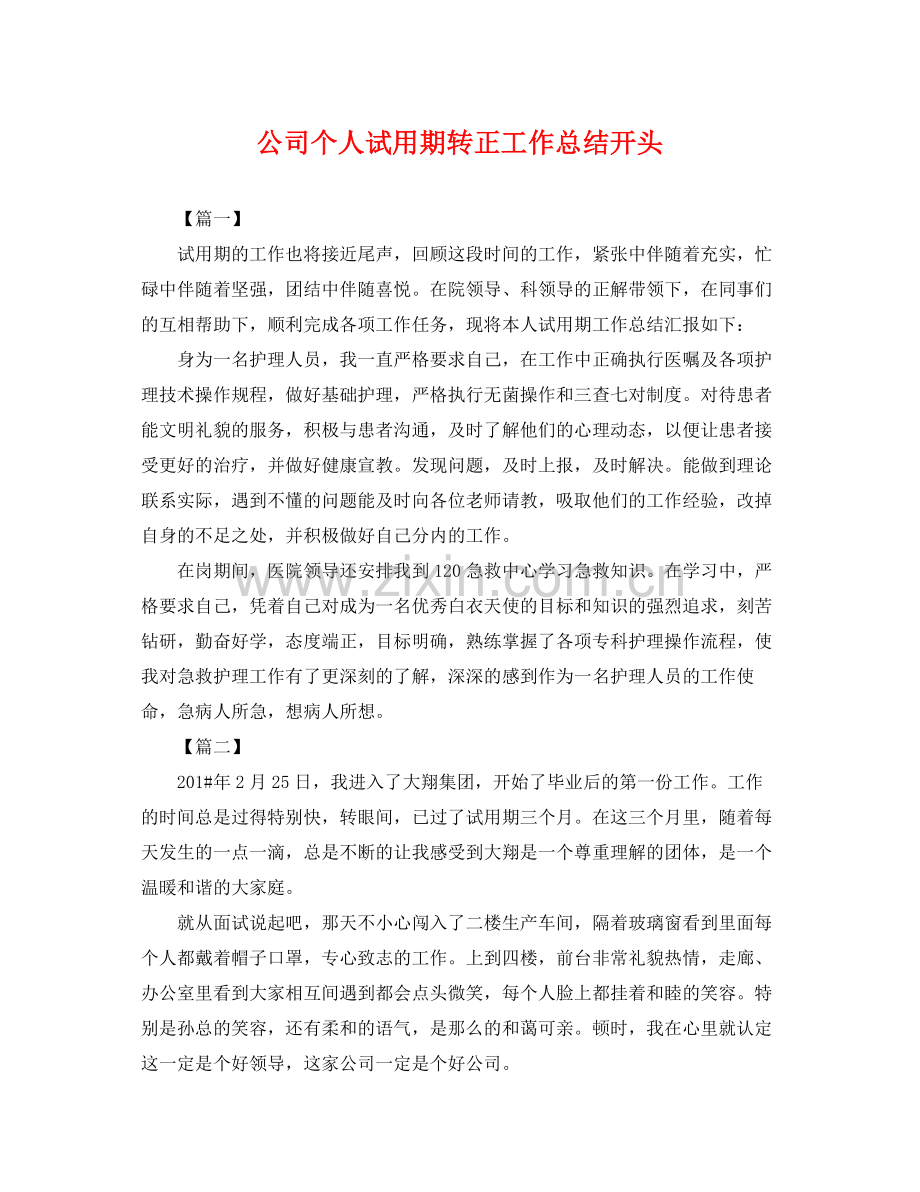 公司个人试用期转正工作总结开头 .docx_第1页