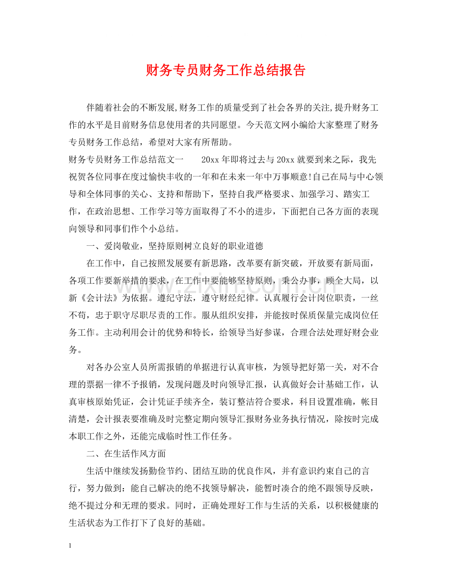 财务专员财务工作总结报告.docx_第1页