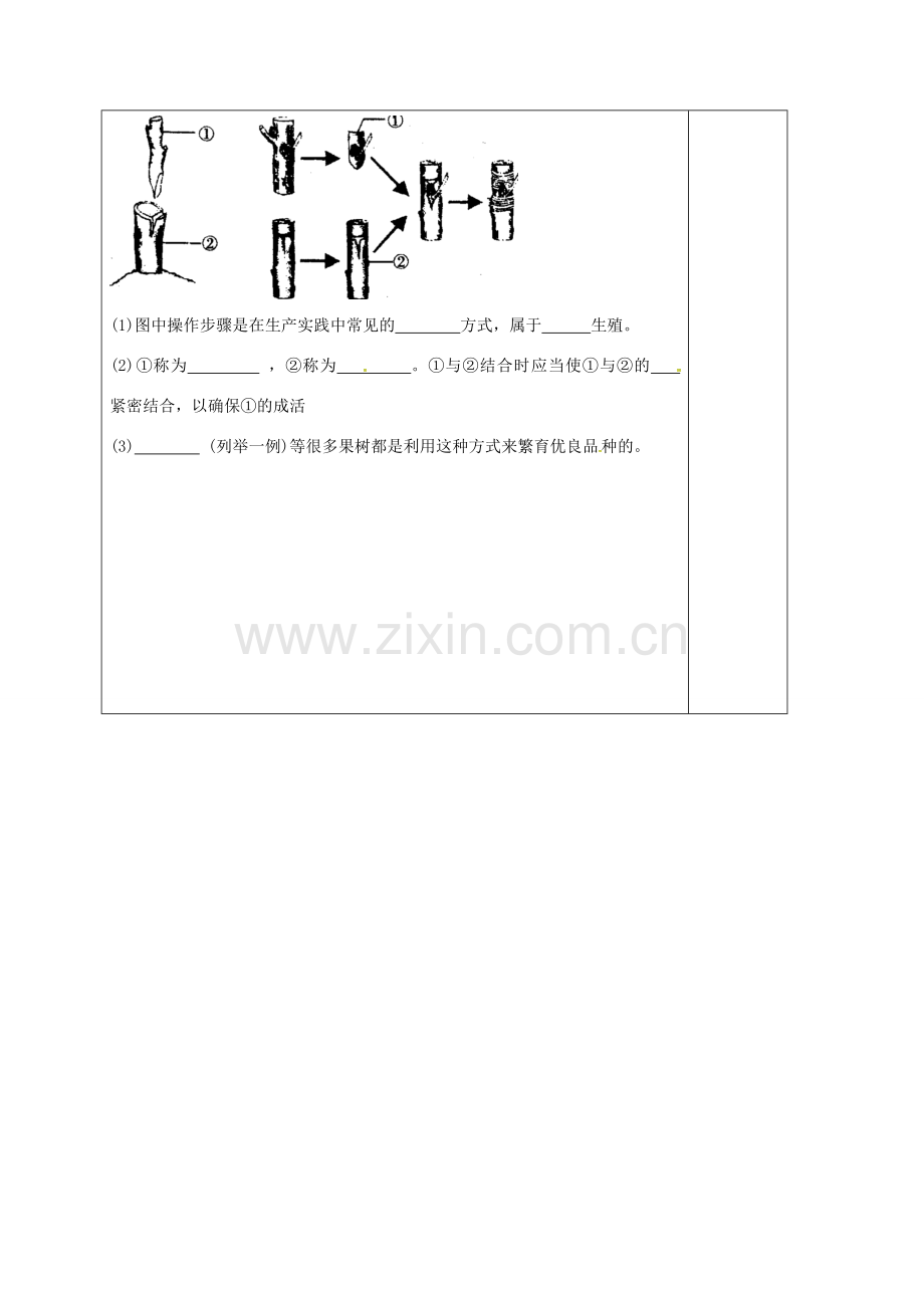 八年级生物下册 第七单元 第一章 第一节 植物的生殖复习教案 （新版）新人教版-（新版）新人教版初中八年级下册生物教案.doc_第2页