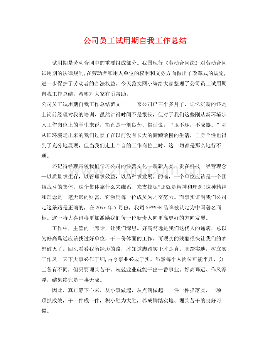 公司员工试用期自我工作总结 .docx_第1页