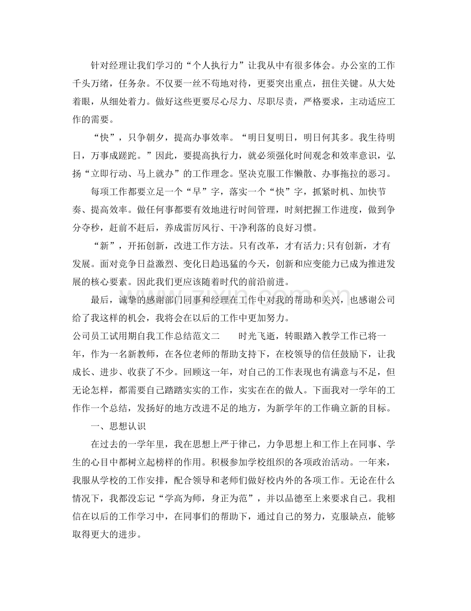 公司员工试用期自我工作总结 .docx_第2页