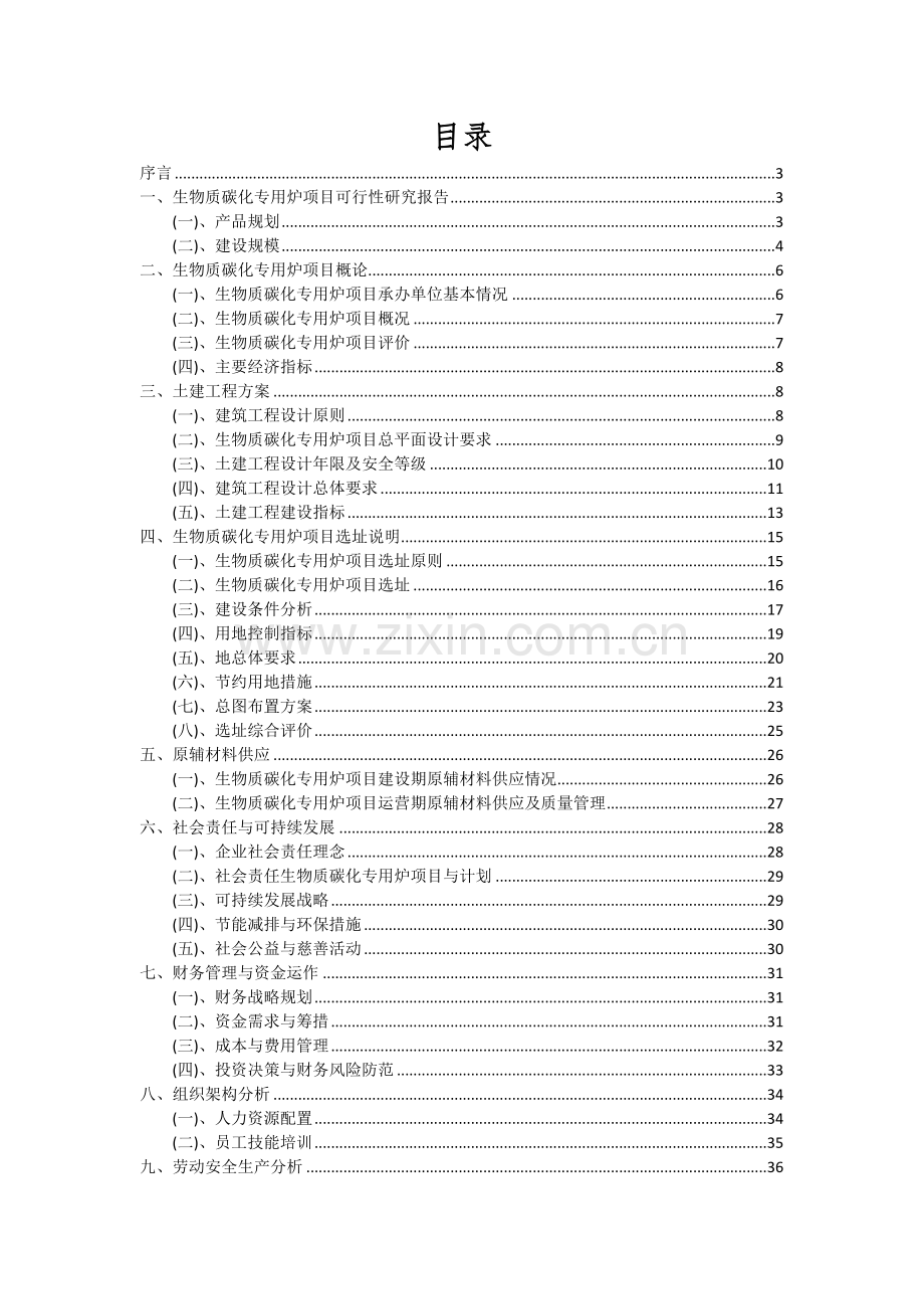 生物质碳化专用炉项目可行性分析报告.docx_第2页