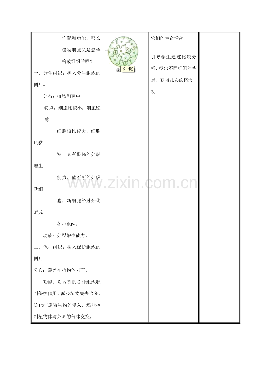 七年级生物上册 2.4.1 细胞分化形成组织（第2课时）教案 （新版）北师大版-（新版）北师大版初中七年级上册生物教案.doc_第2页