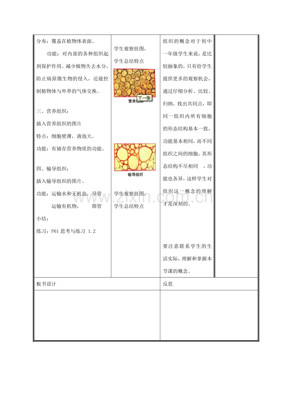 七年级生物上册 2.4.1 细胞分化形成组织（第2课时）教案 （新版）北师大版-（新版）北师大版初中七年级上册生物教案.doc_第3页