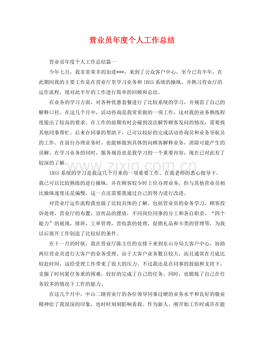 营业员年度个人工作总结 .docx_第1页