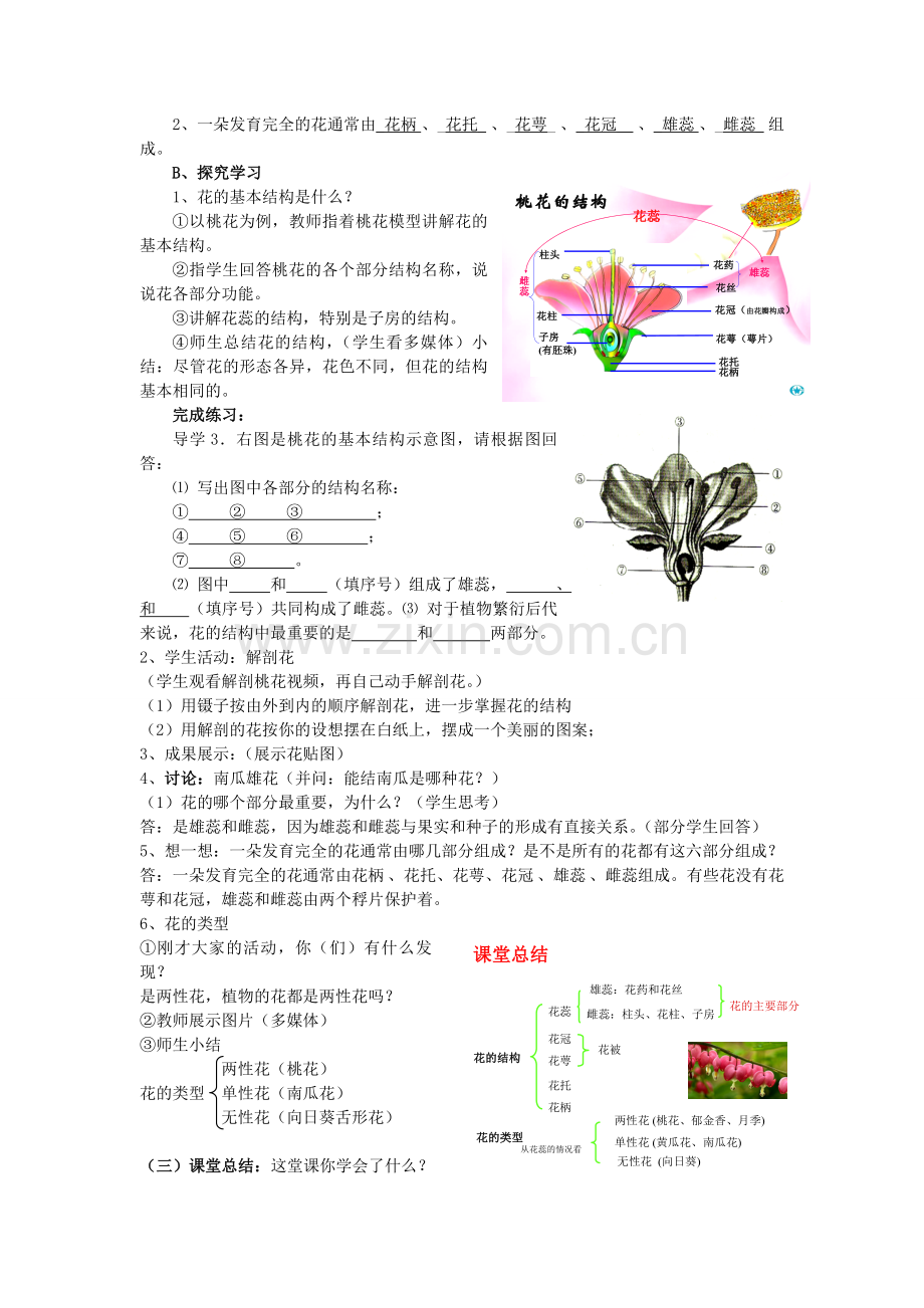 七年级生物上册 第6章 第3节 第1课时 花的结构教案 北师大版.doc_第2页