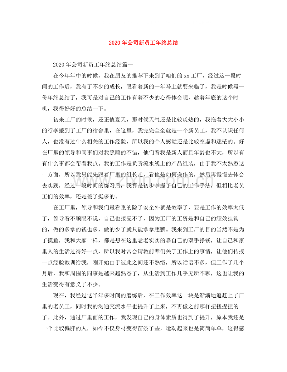 2020年公司新员工年终总结.docx_第1页