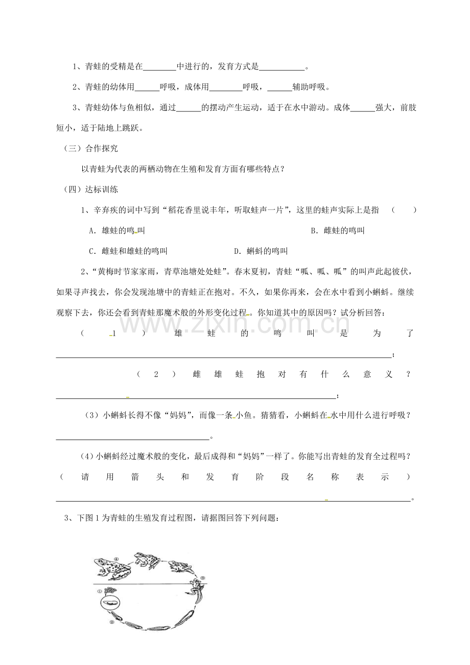 八年级生物下册 1.3 两栖动物的生殖和发育教案 新人教版-新人教版初中八年级下册生物教案.doc_第2页